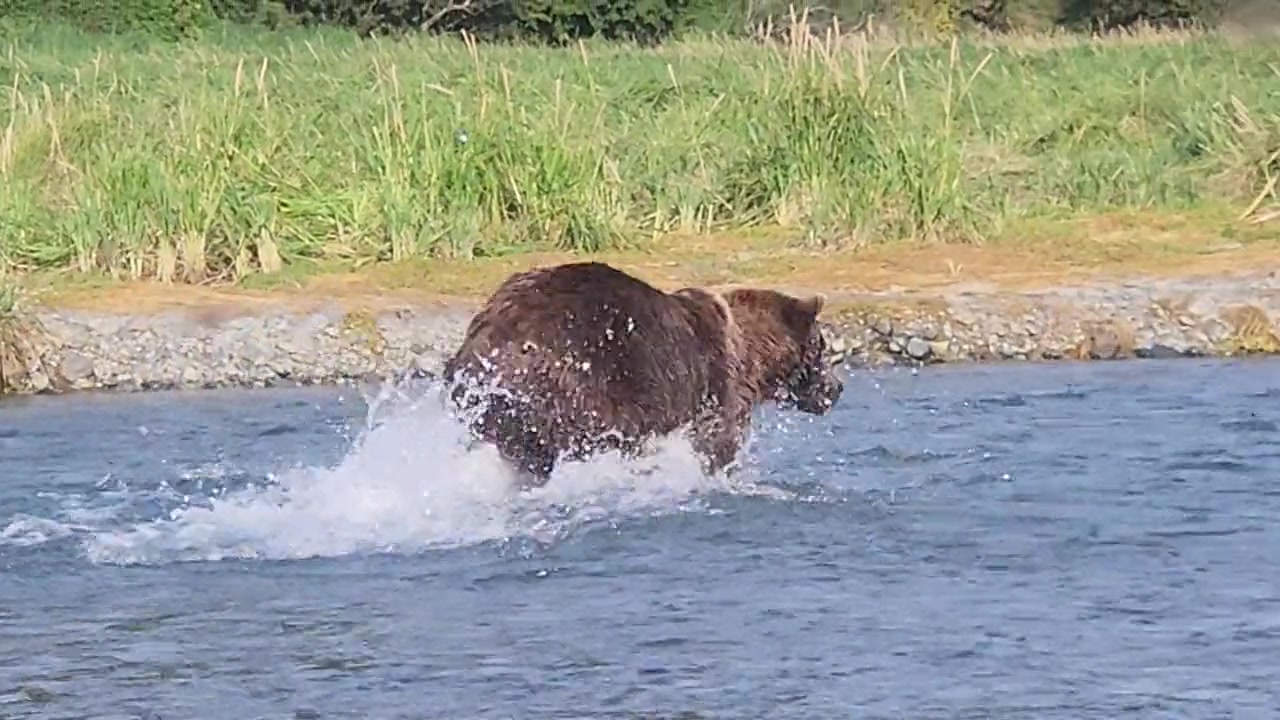 Alaska wilderness